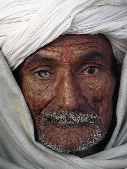 Portrait
