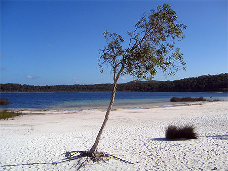 Lac de Fraser Island