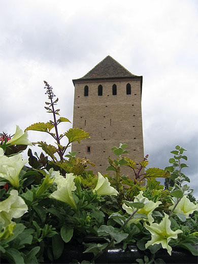 Centre de Strasbourg