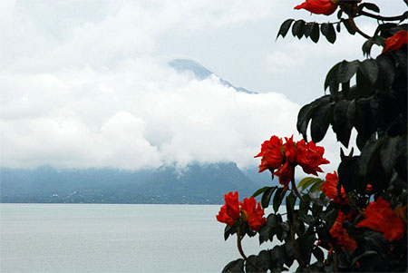 Volcan Tolim�n