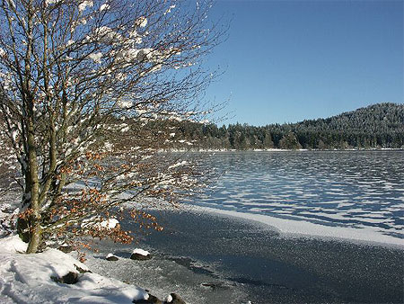 Le lac du Bouchet ( Lac de Crat�re)