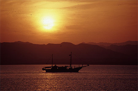 Coucher de soleil en Mer Rouge