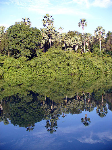Reflets sur le fleuve Gambie