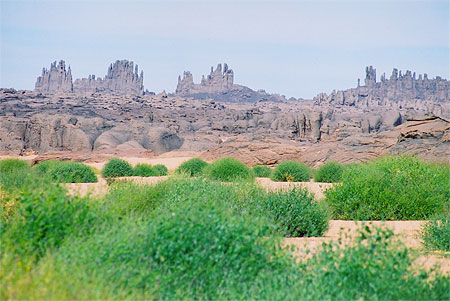 Tassili du Hoggar