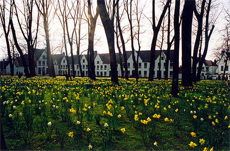 Le Beguinage � Bruges