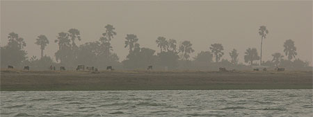 Fleuve Niger