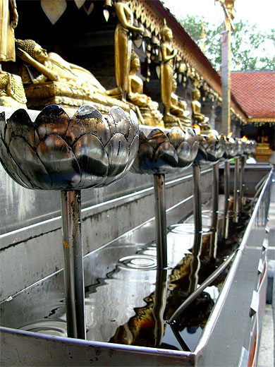 Doi Suthep, Lotus porte-bougies