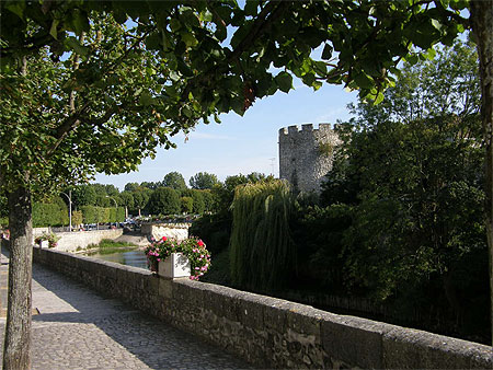Le long du Loir � Vend�me