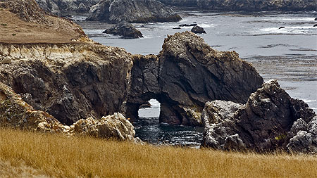 Arche