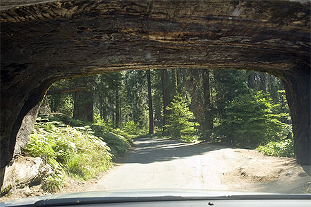 Tunnel