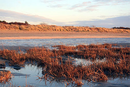 Lumi�res de la baie de somme