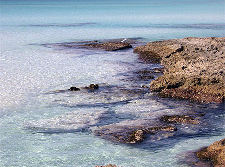 Couleurs pastelle