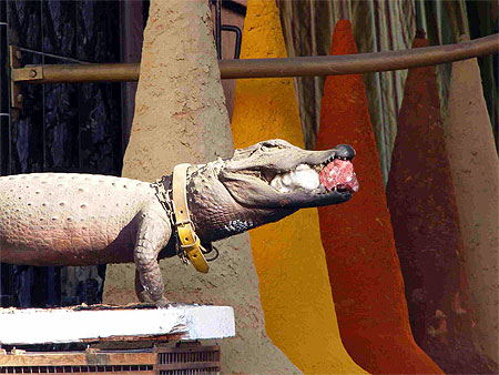 Crocodile aux �pices