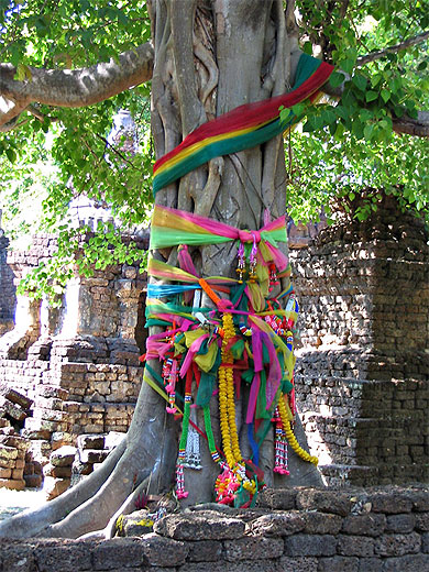 Arbre enruban� � Sukhothai