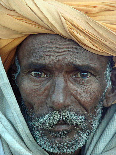 Portrait
