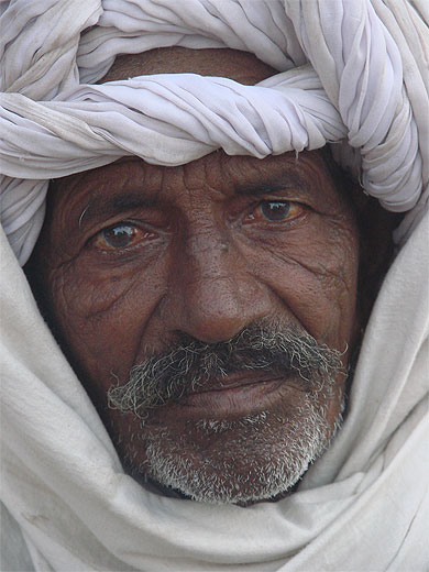 Portrait