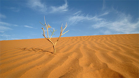 Merzouga