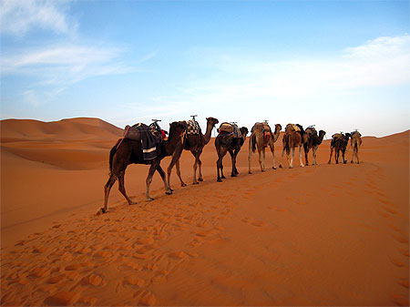 Merzouga
