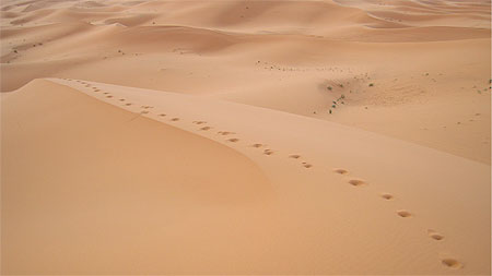 Merzouga