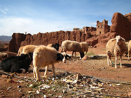 Kasbah de Telouet