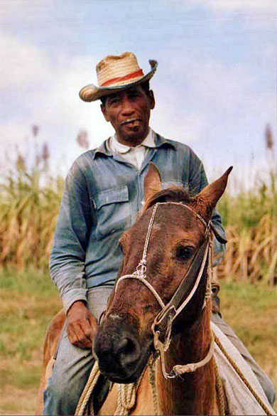 Cavalier agriculteur