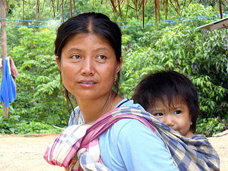 Maman Lisu