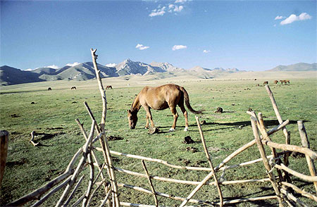 Cas de Horse majeur...