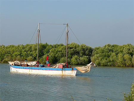 Bateau naviguant au coeur de la mangrove