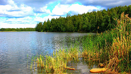 Vaasa