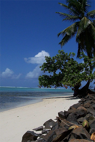 Plage de l'�le aux nattes
