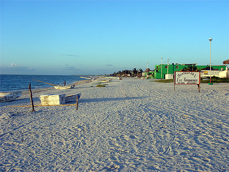 Biosph�re au bord du golfe du Mexique