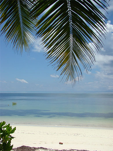 Beaut� des Seychelles