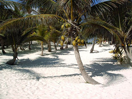 Paysage � Tulum