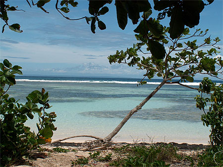 Plage de la Guadeloupe