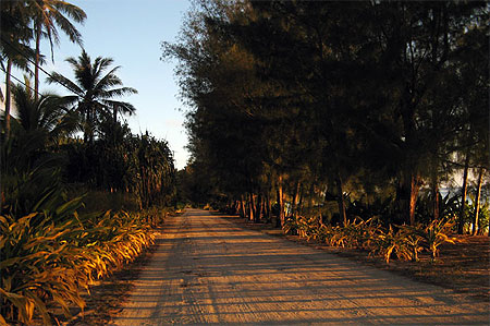 Chemin de sable � Vitaria