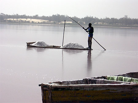 Sc�ne de vie sur le Lac Rose