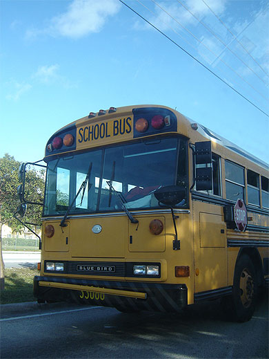 School Bus