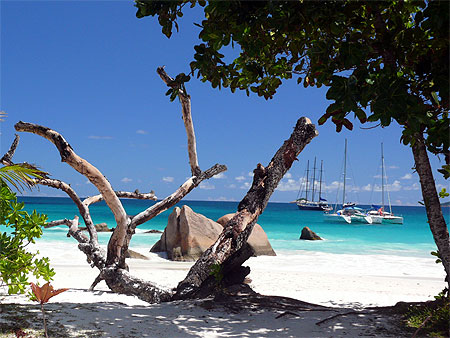 Anse Lazio � Praslin