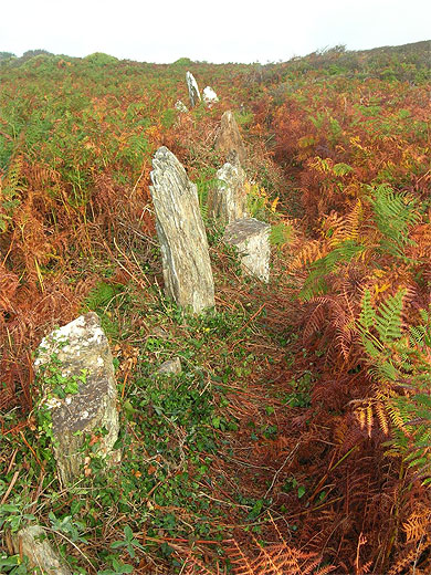 Alignement de menhirs