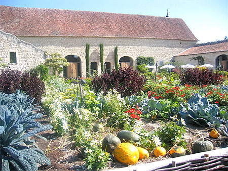 Le potager de toutes les couleurs
