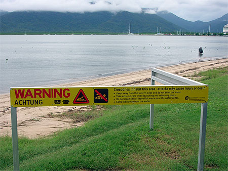 Attention crocodiles !