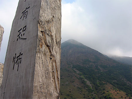 Wisdom path