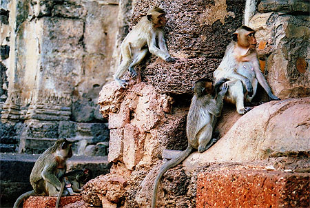 les gardiens du temple