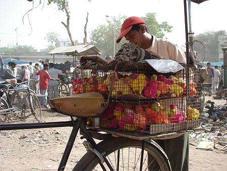 Sunday market