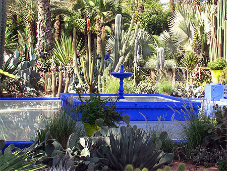 Jardin