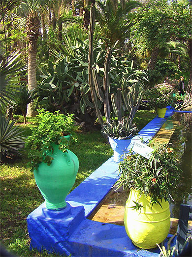 Jardin