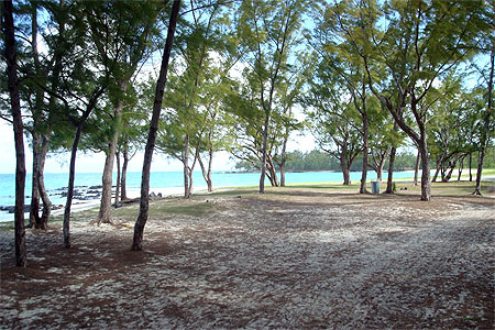 Paysage de l' Ile aux cerfs