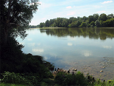 Bords de Loire � Myennes
