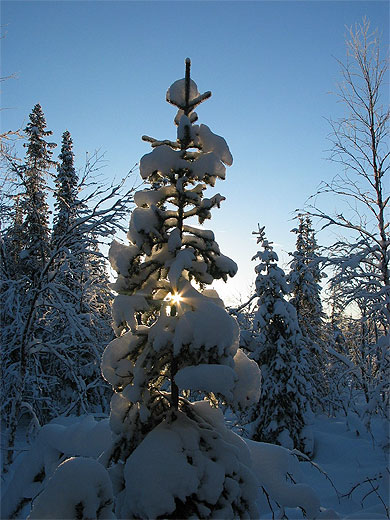 Environs de Rajamaa
