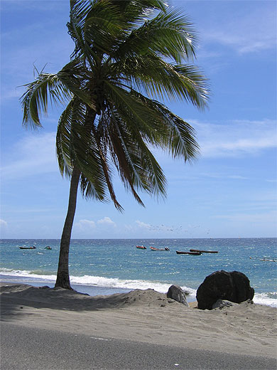 Plage de Le Carbet